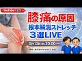 膝痛の原因根本解消ストレッチ3選LIVE ＃膝痛　＃整体院WATO