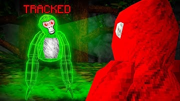 I Player Tracked A HACKER in Gorilla Tag..