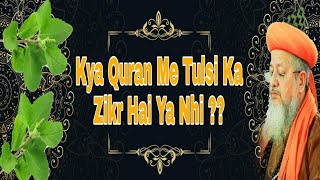 Download Lagu Is Tulsi mentioned in the Quran? || By Huzur Rais E Millat MP3