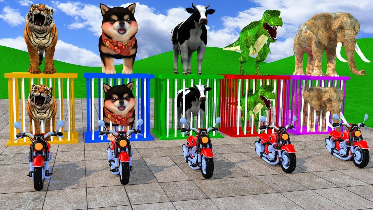 Funny Long Slide Game 3D Animals – Cow, Lion, Hippopotamus & Dinosaur