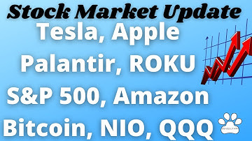 Update on Tesla, Apple, the S&P 500, Nasdaq, NIO, Palantir, ROKU, Bitcoin, Amazon, Square, & Netflix