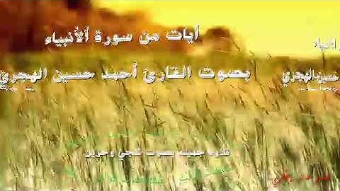 أيات من سورة ألأنبياء بصوت القارئ أحمد حسين الهجري بصوت شجي وحزين