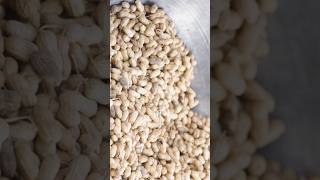 Amazing peanuts benefits peanuts मुंगफली बर्फी shortfeed ytshorts