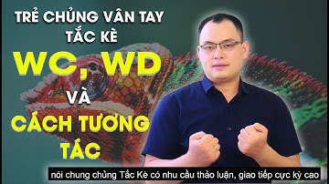 SINH TRẮC VÂN TAY- CHỦNG VÂN TAY TẮC KÈ VÀ CÁCH TƯƠNG TÁC | NGUYỄN QUANG TIẾN