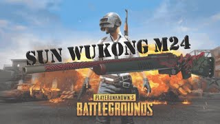 I Did First Coupon Got Sun Wukong M24 Droped