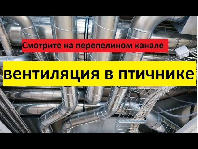 вентиляция в птичнике