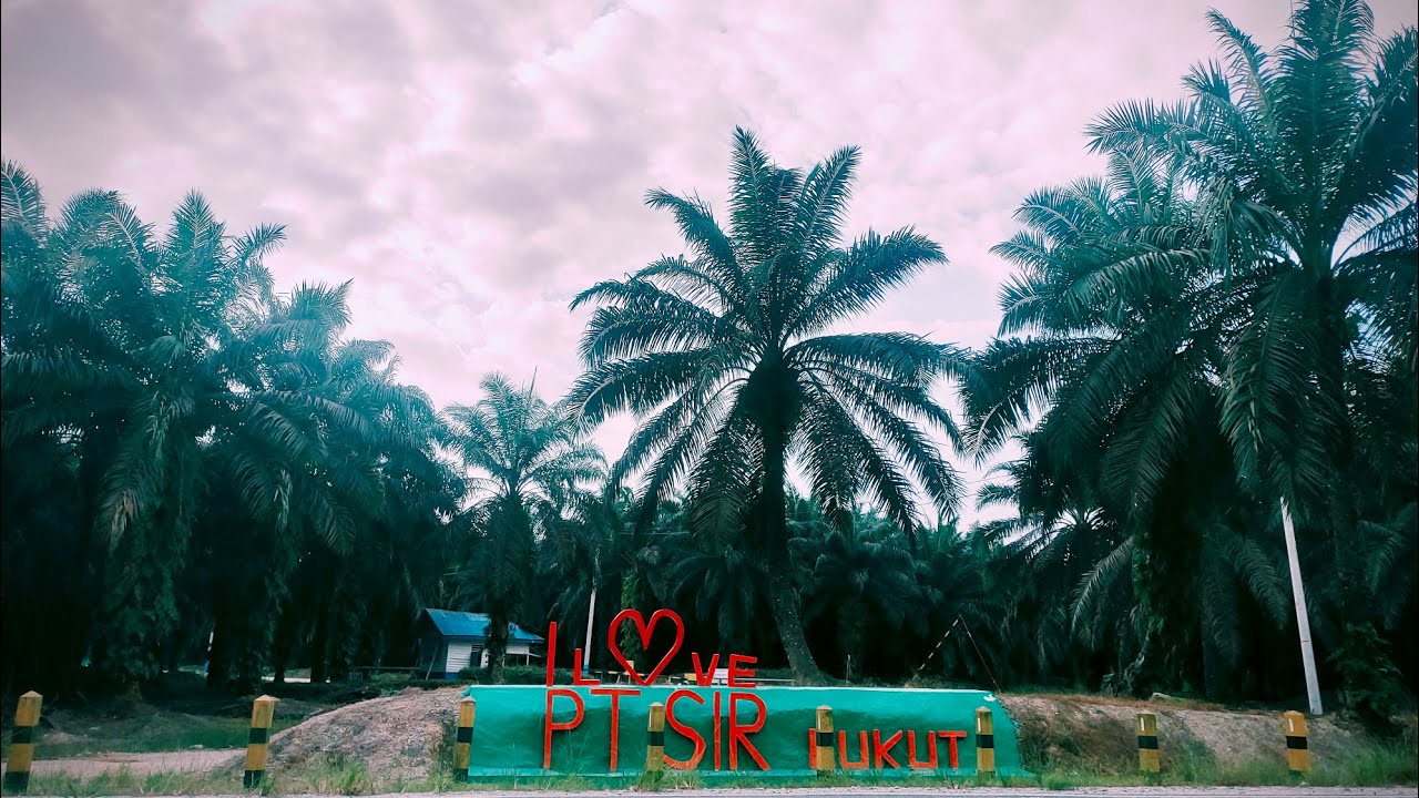 Percakapan Suami Istri di perjalanan @PT. Surya Intisari Raya (PT. SIR)