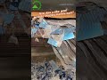 #solarpanel How does a solar panel pyrolysis recycling machine work? solar panel pyrolysis process