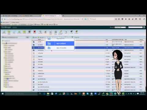 How to fix "wordpress no update required problem"