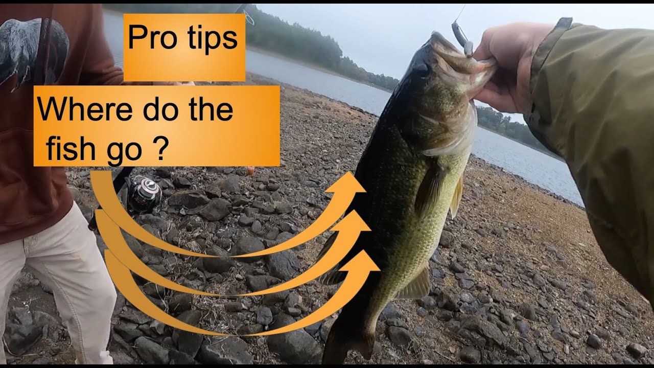Fall Bass Fishing With 1Bite1Dream