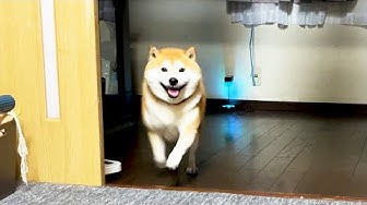 Rfrvgvljhw6mlm Rfrvgvljhw6mlm