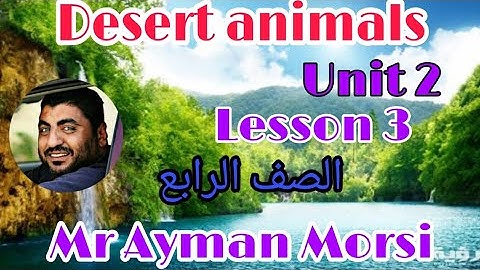 Unit 2/Lesson 3/ connect 4/                الصف الرابع/الدرس الثالث/الوحده الثانيه المقارنة&التفضيل
