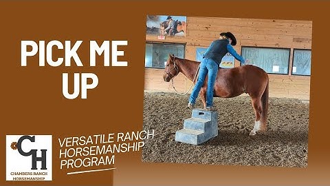Easy Mounting! Teach your horse to pick you up from the mounting block!