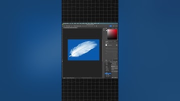 Photoshop Trick to REMOVE Feathers Background in Minutes