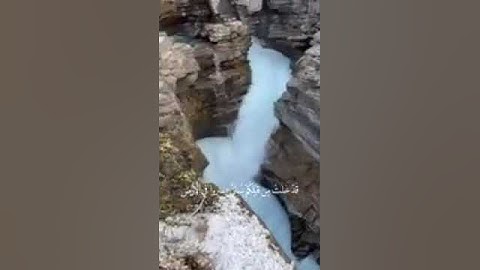 🌺 مقتطفات من سورة آل عمران _ ماهر المعيقلي   🌺