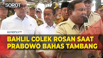 Bahlil Colek Bos Danantara saat Prabowo Bahas Tambang Ilegal dan Kerugian Negara Rp300 T