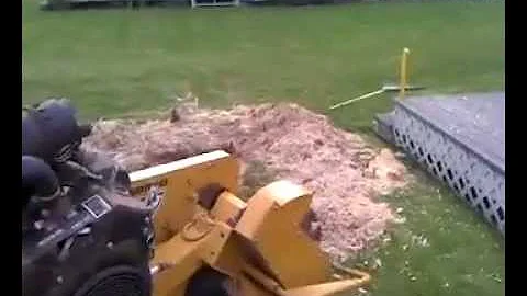 Stump grinding for Ron and Colleen Paulson in Lynd...