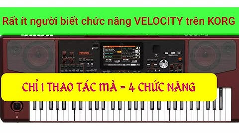 Bộ set korg pa mới nhất| Chức năng VELOCITY cực hay chỉ có trên KORG