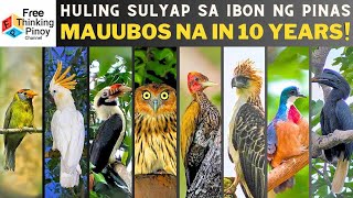 COMPILATION 70 Species ng NATIVE NA IBON SA PINAS