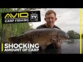 Catching SHOCKING Amounts Of BIG CARP Using One Lead Set-Up! | Mark Bartlett (Carp Fishing)