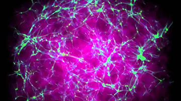 Galaxy Clusters and the Janus Supercomputer