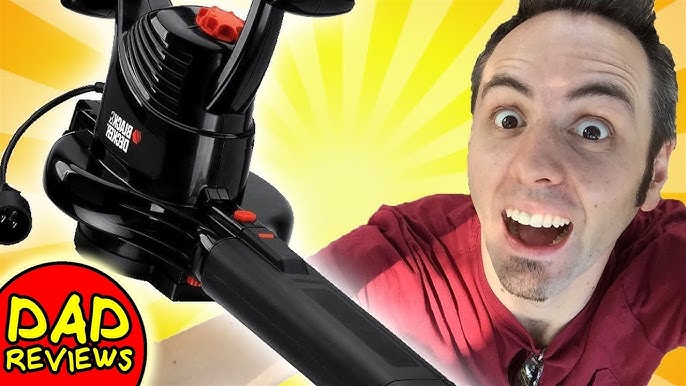 Top Rated Leaf Blower Comparison: CORDED or CORDLESS? (BLACK+DECKER LSW221  VS LB700) 