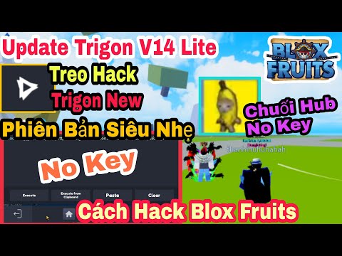Hướng Dẫn Cách Treo Hack Blox Fruits Với TRIGON LITE V14 NO KEY 100% 