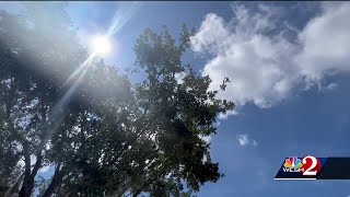 ‘Higher rates of heat stroke’: Florida professor speaks on climate change after Earth hits record...