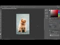 Photoshop 2024 Remove Background | Photoshop #photoshop #shortvideo #shortsvideo