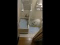 【使って貰ってみた】獣医師開発猫トイレと今まで使っていた猫トイレ