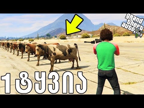 რამდენ ცხოველს მოვკლავ GTA 5 ქართულად - 1 bullet vs animals gta 5 qartulad