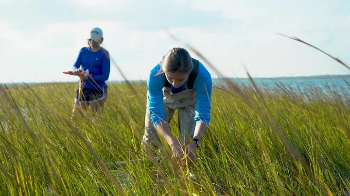 Serving North Carolina