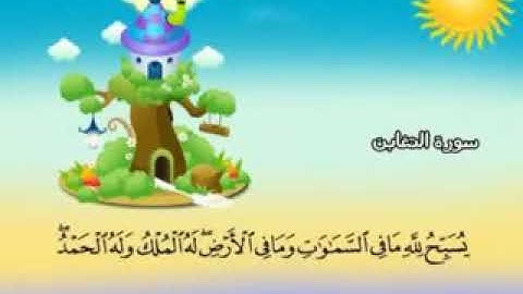 سورة التغابن - 64 - كاملة بمعانى الكلمات مع تردي