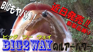 注目度No.1⁉BIG2WAYの釣れっぷりがヤバい!!v【近日発売】