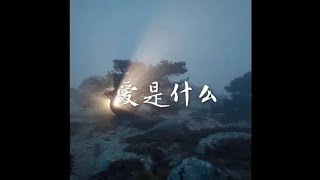 201708 爱是什么40241