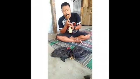 ular kaget | video lucu 2021 | status WA lucu