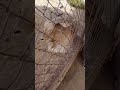 هههههه يا سلام هههههه يا سلام