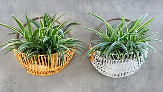 New ideas for unique hanging pots to make your home space truly impressive