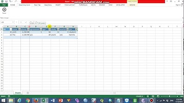 Data Entry Form by using Excel. បង្កើតទម្រងបញ្ចូលទិន្នន័យដោយប្រើកម្មវិធី Excel,