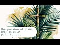 Palm sunday 2024  luke 192848  the passion of jesus