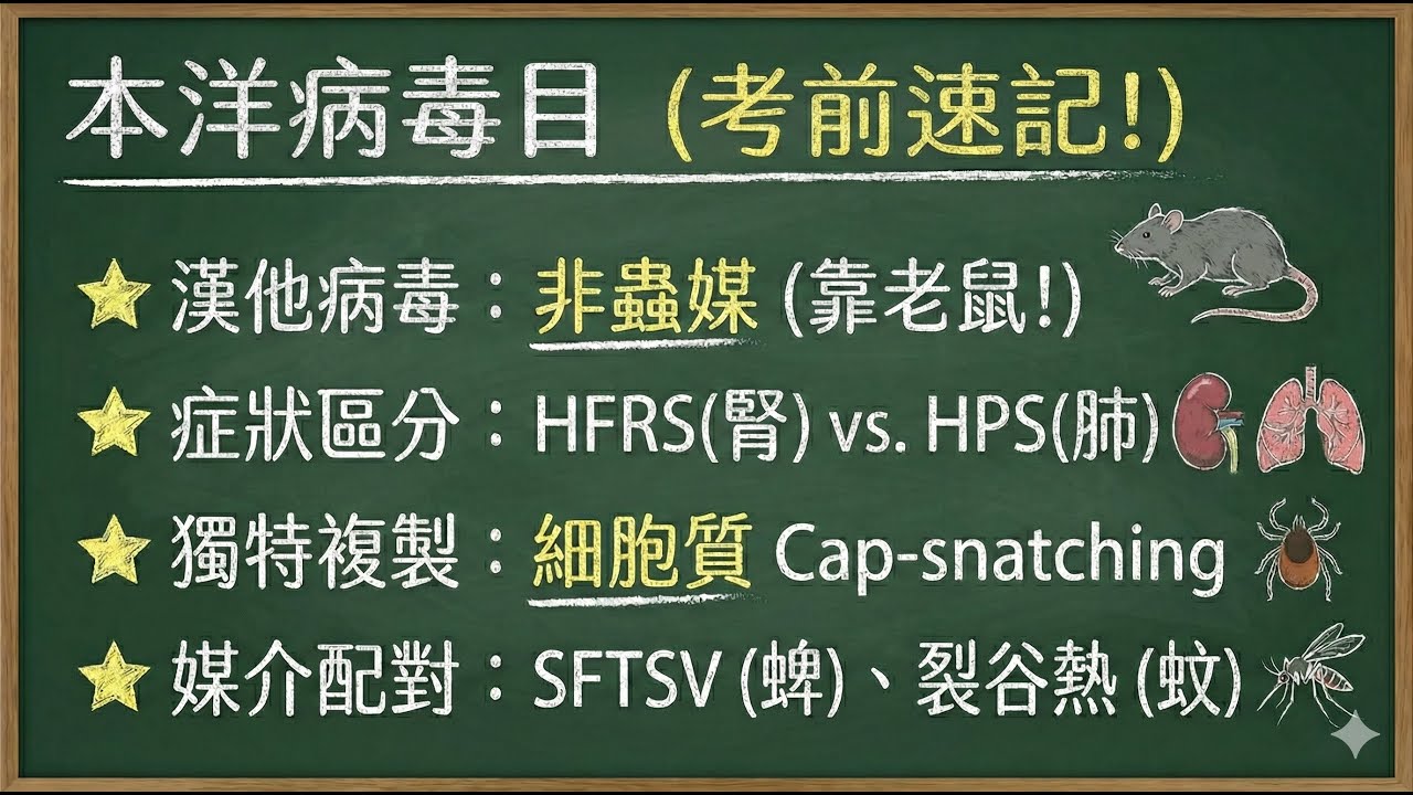 本洋病毒目 (Bunyavirales) -漢他病毒、出血熱病毒與分類學更新