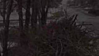 Maryville Ice Storm