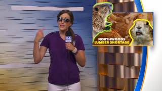State Fair Experience Day 2 Session 43