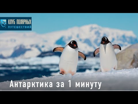 Video: Antarktika: Mis Seal Jääkarbi All Peidus On? - Alternatiivne Vaade