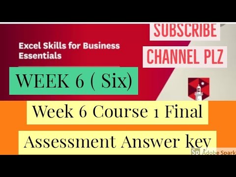 week 6 final assignment excel skills for business advanced