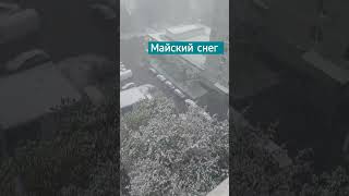 Майский снег / 8 мая 2024 #россия2024 #снегвесной #май #холод #майскиепраздники