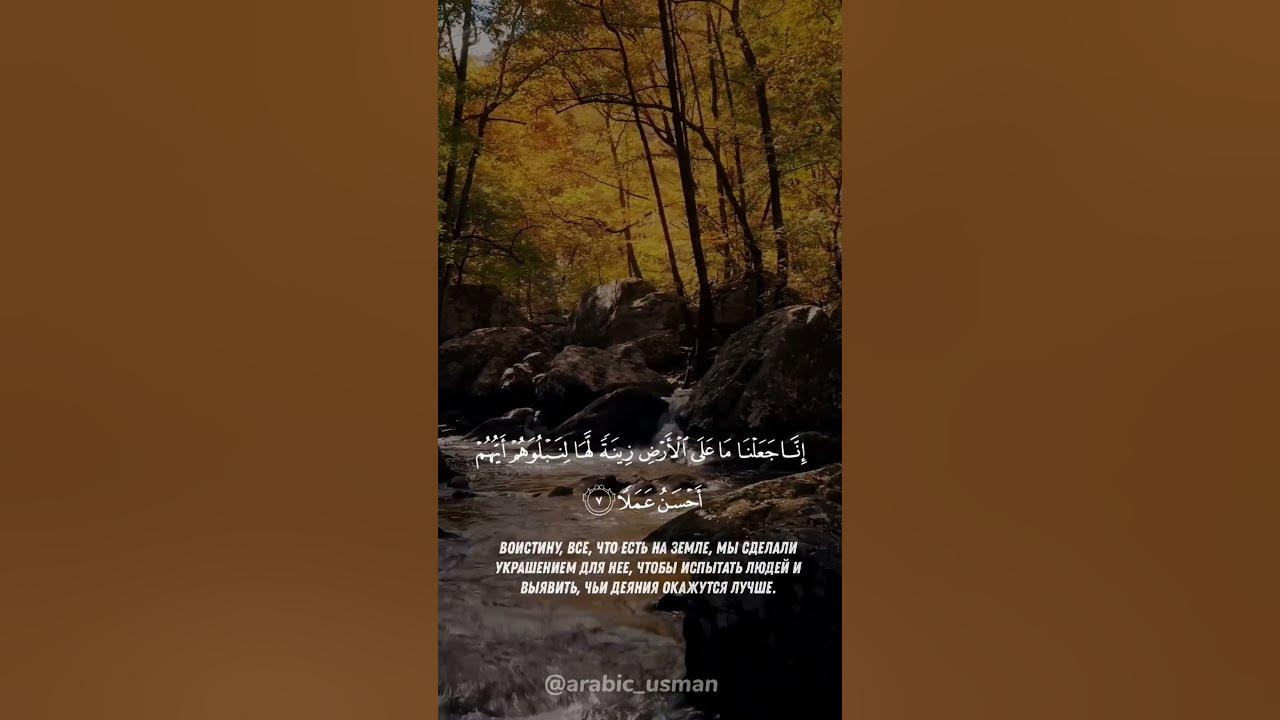 СУРА АЛЬ-КАХФ ( ПЕЩЕРА ) АЯТ 7 #quran #reels #new #learn #kahf # ...