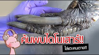 ค้นพบไดโนเสาร์ตัวเป็นๆ!! #อสูรไดอะรี่ #โบราณไดอะรี่ I แค่อยากเล่า...◄1059►