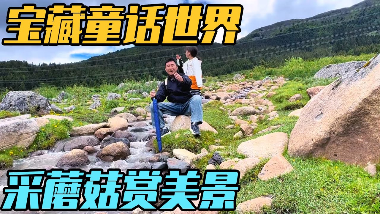 房车再征高原，边摘蘑菇边赏美景，仿佛进入了童话世界【家和远方的旅行】