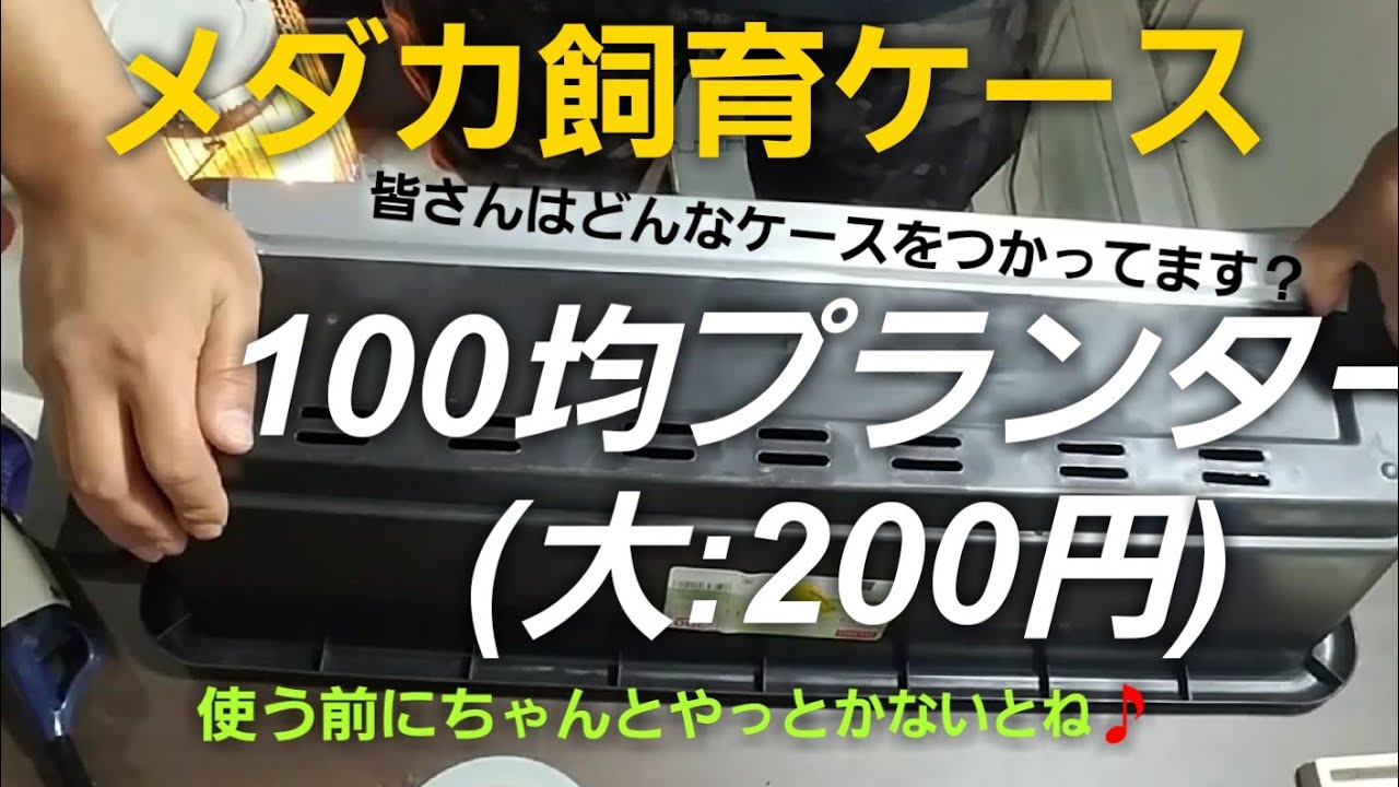 ホシタカめだか 008 プランターの穴埋め Youtube